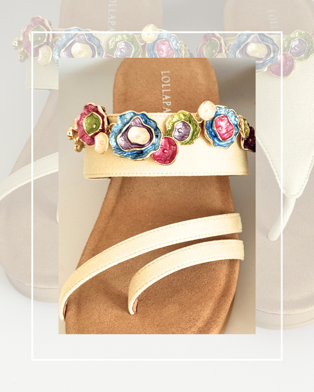 Clip on Banded Sea Bed Colourful Shells