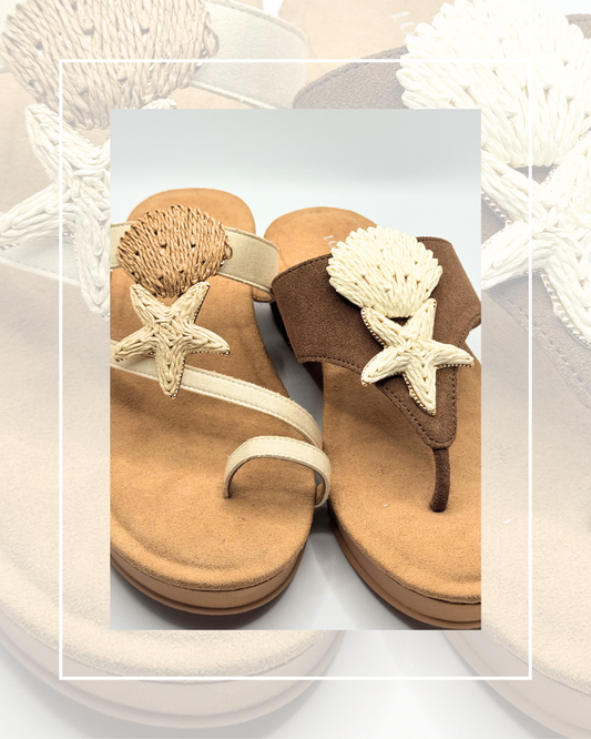 Clip On Paper with Gold Trim Shells and Starfish 4 Colours